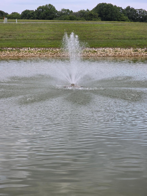 Listing Image 84