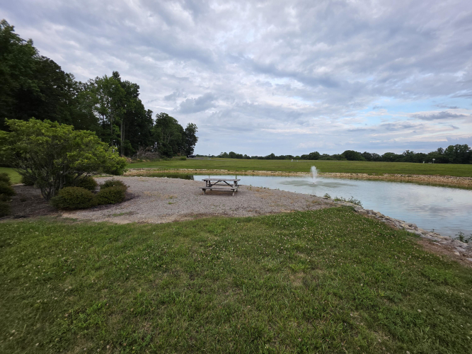 Listing Image 85