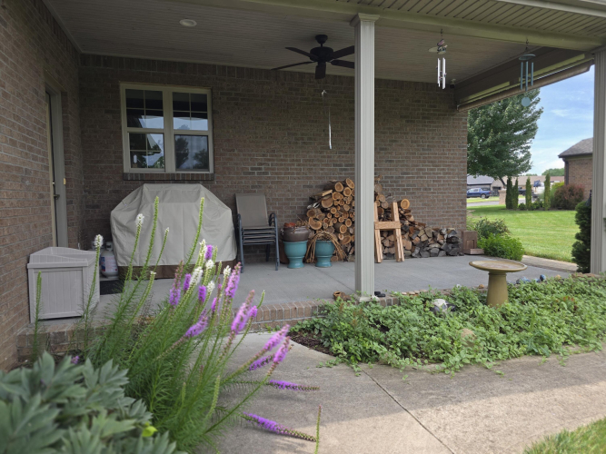 Listing Image 41