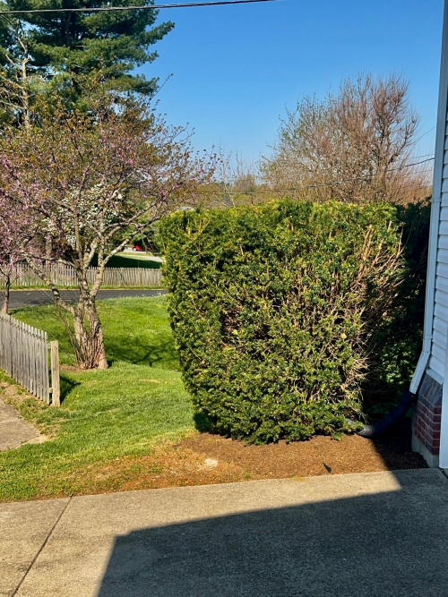 Listing Image 13