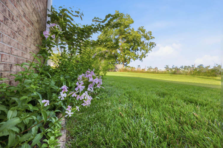 Listing Image 69
