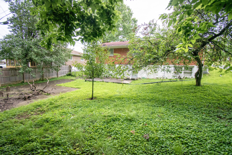 Listing Image 8
