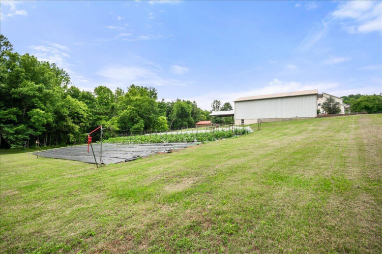 Listing Image 64