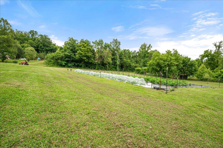 Listing Image 65