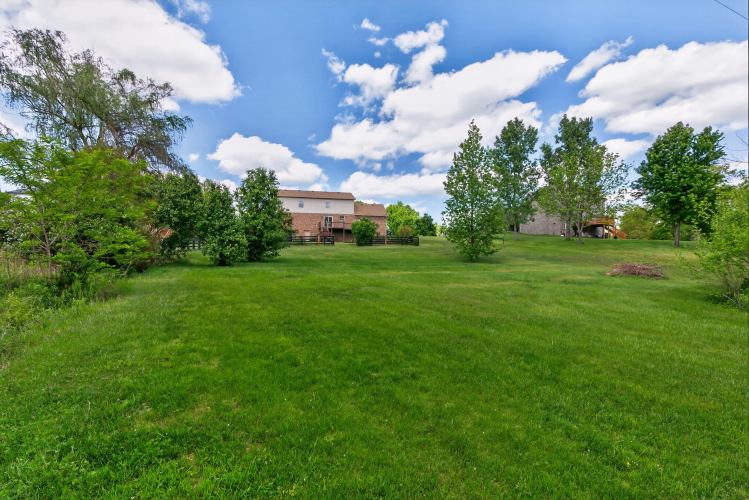 Listing Image 48