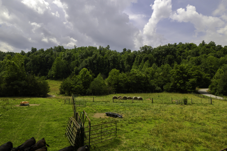 Listing Image 24