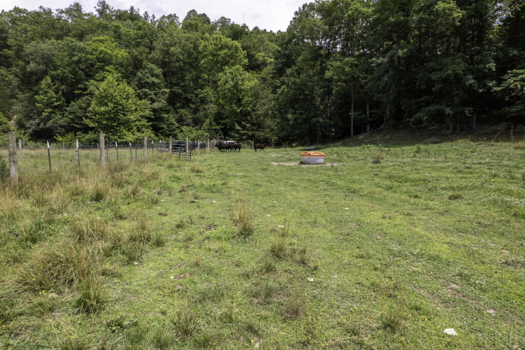 Listing Image 32