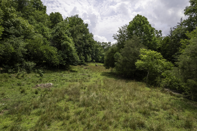 Listing Image 33