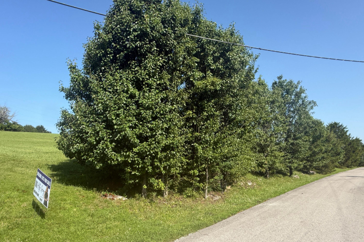Listing Image 10