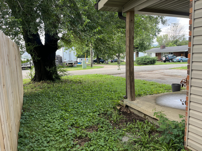 Listing Image 13