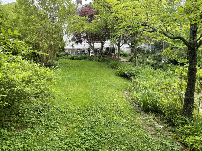 Listing Image 42
