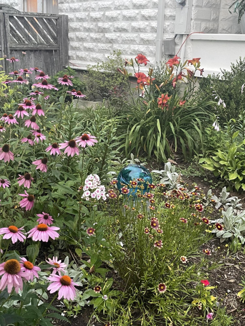 Listing Image 51