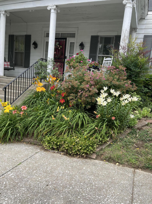Listing Image 52