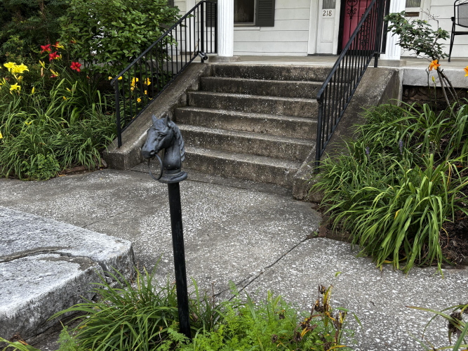 Listing Image 55