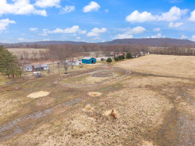 Listing Image 59