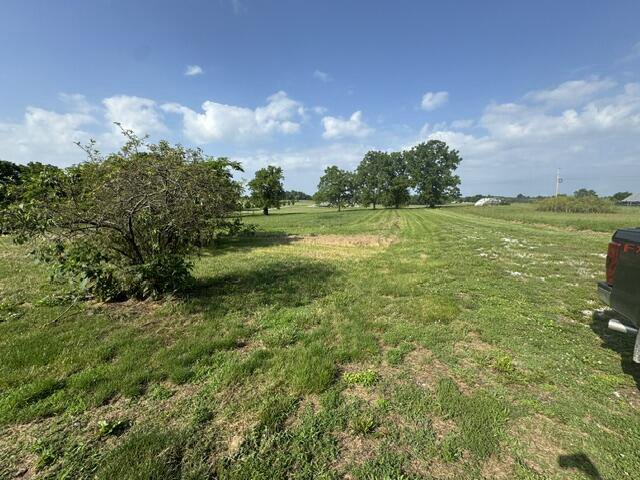 Listing Image 31