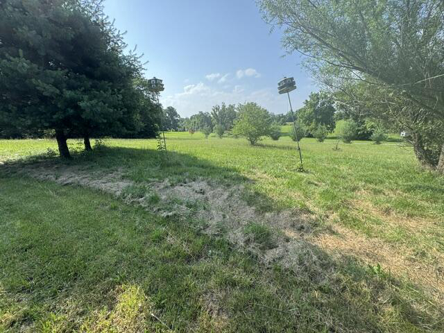 Listing Image 36