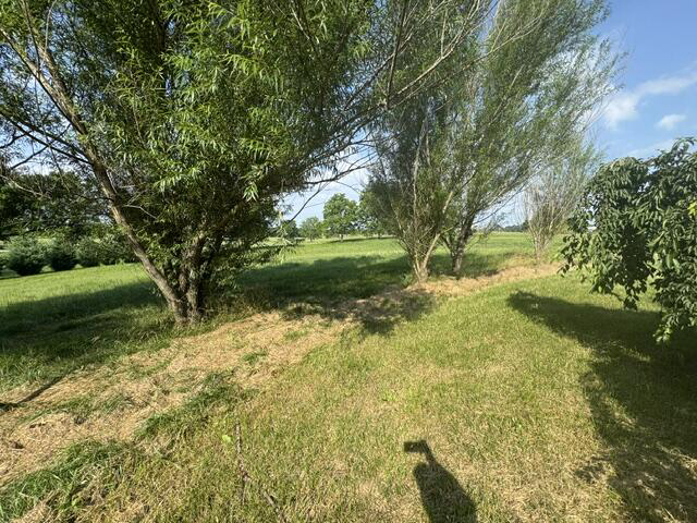 Listing Image 37