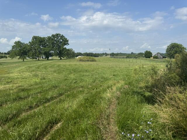 Listing Image 61