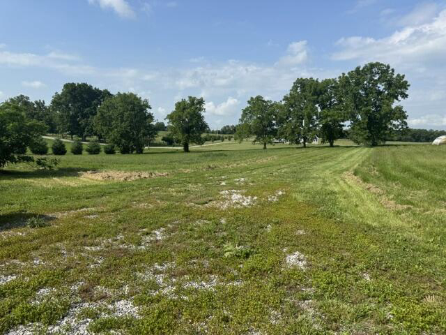 Listing Image 62