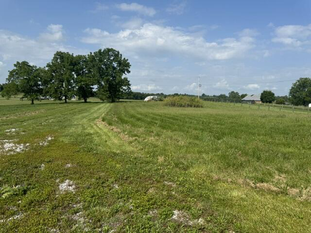 Listing Image 63