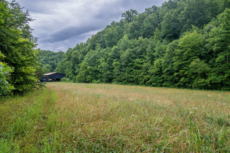 Listing Image 12