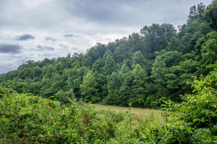 Listing Image 17