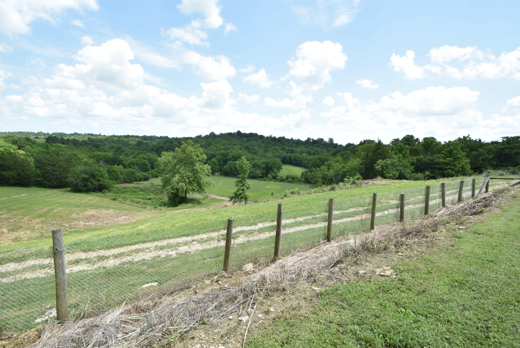 Listing Image 33