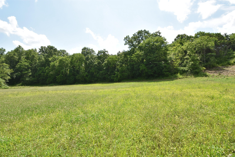 Listing Image 38
