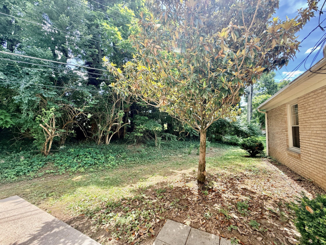 Listing Image 41