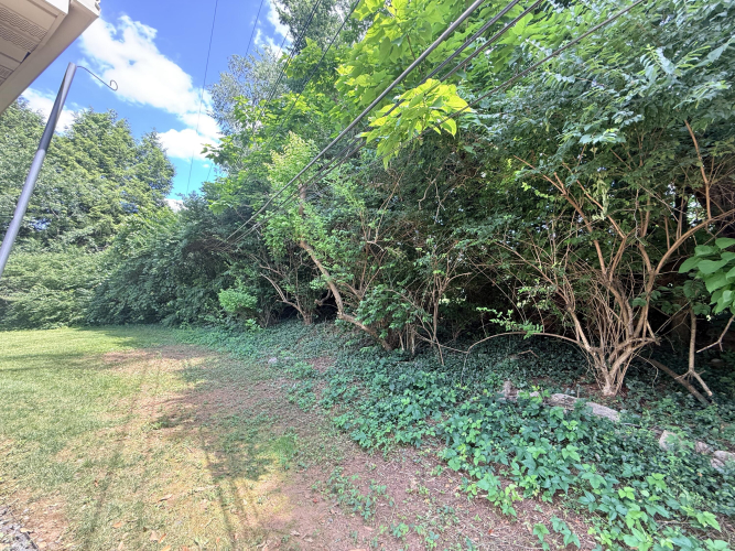 Listing Image 42