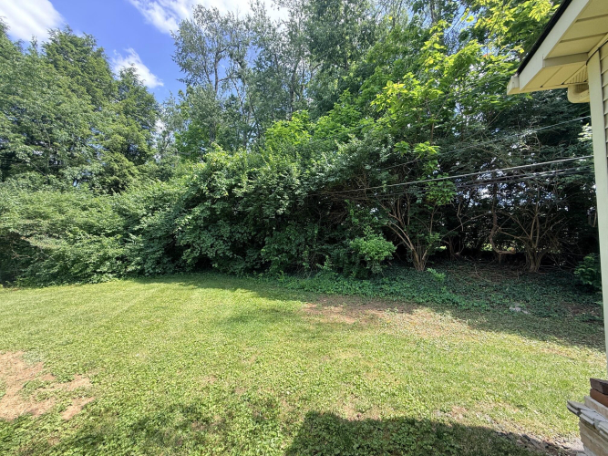 Listing Image 43
