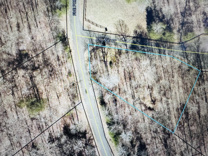 Listing Image 3