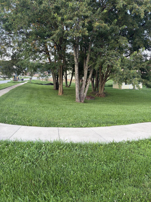 Listing Image 5