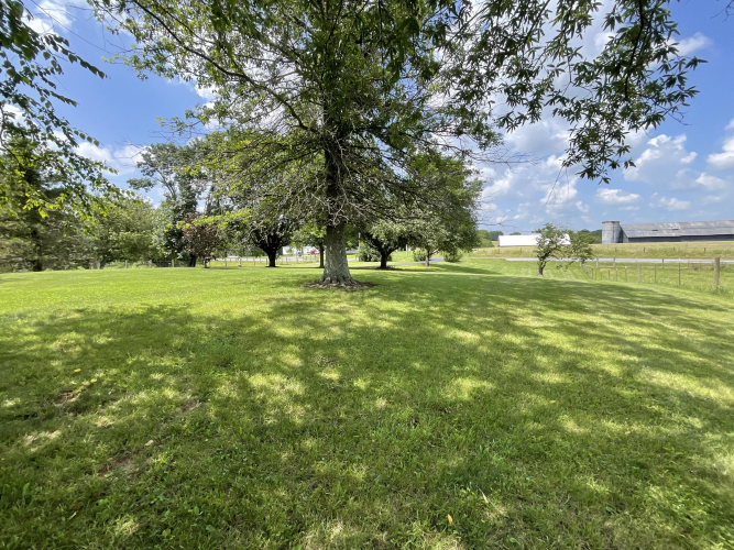 Listing Image 51