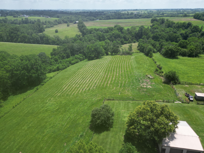 Listing Image 60
