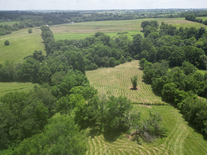 Listing Image 62