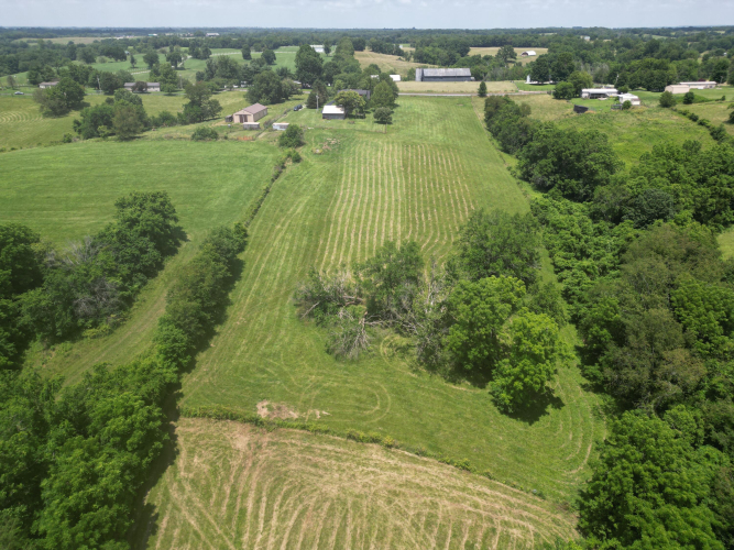 Listing Image 65