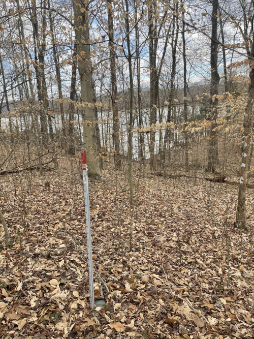Listing Image 57