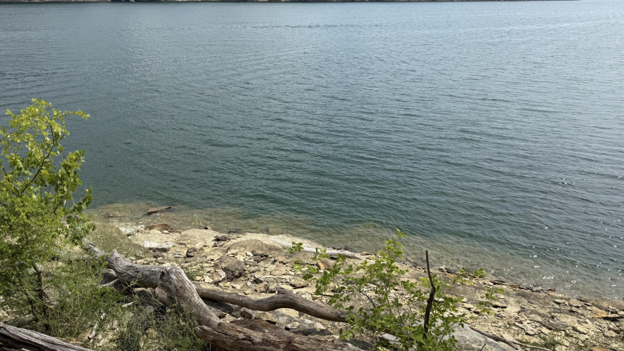 Listing Image 73