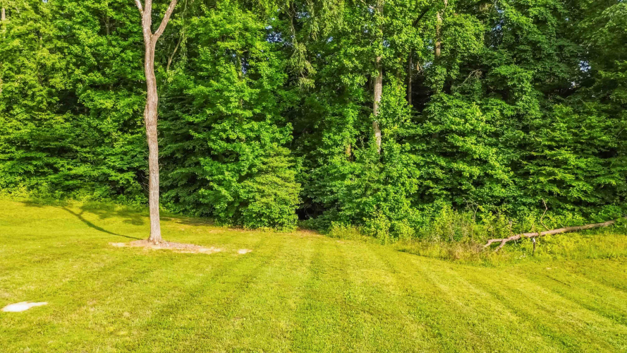 Listing Image 82