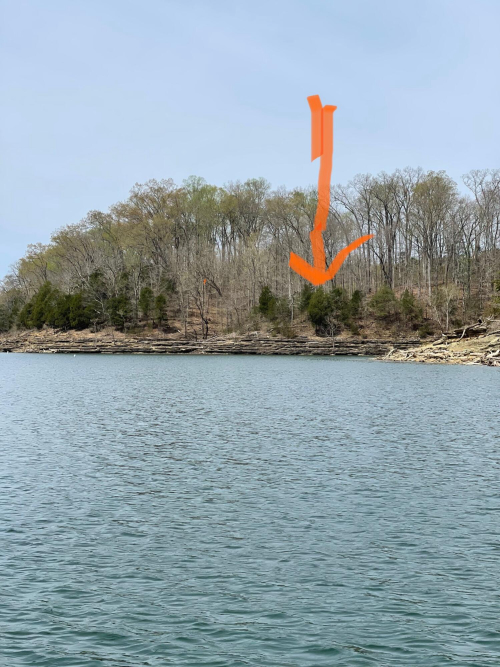 Listing Image 85