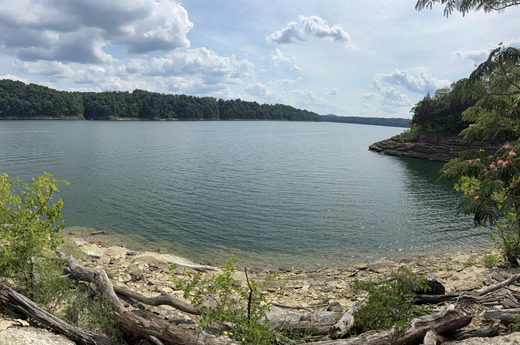 Listing Image 87