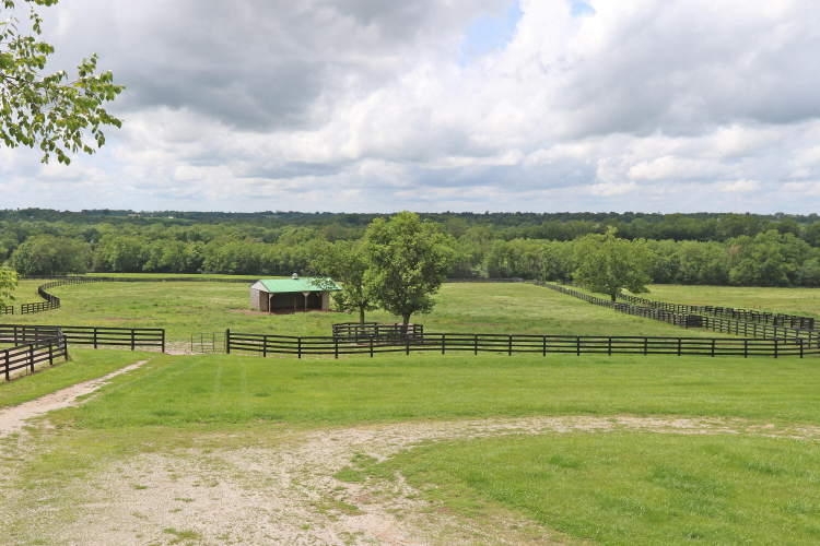 Listing Image 26