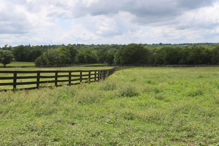 Listing Image 29