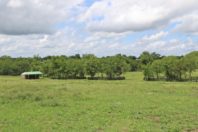Listing Image 33