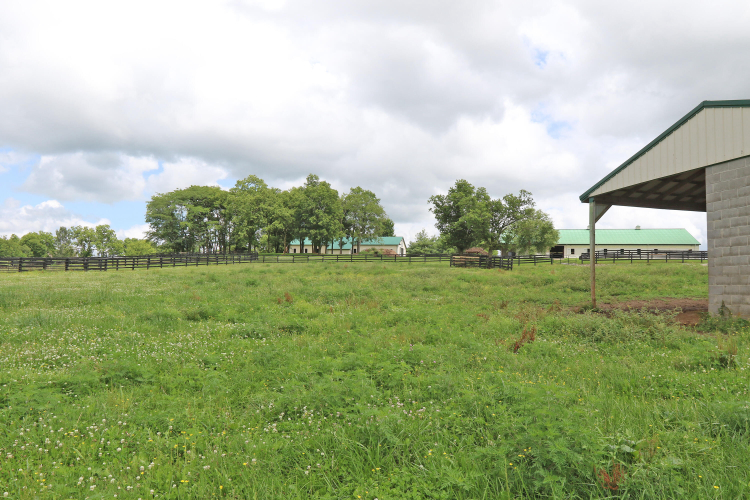 Listing Image 34