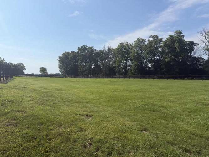 Listing Image 45