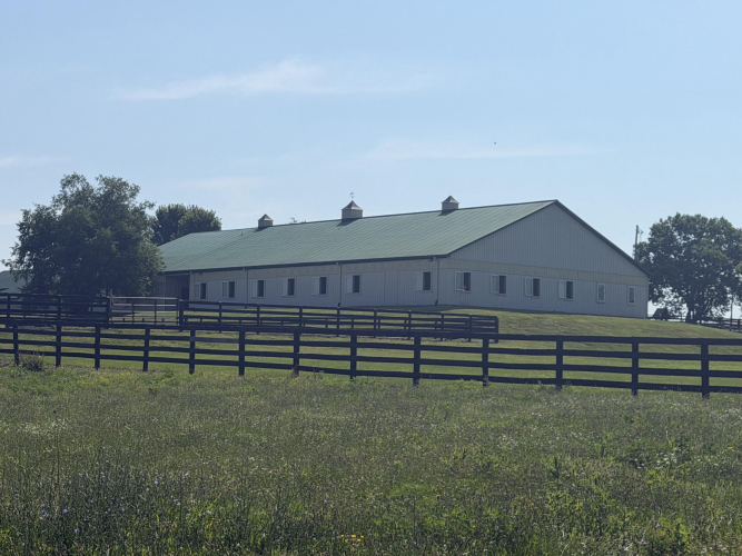 Listing Image 47