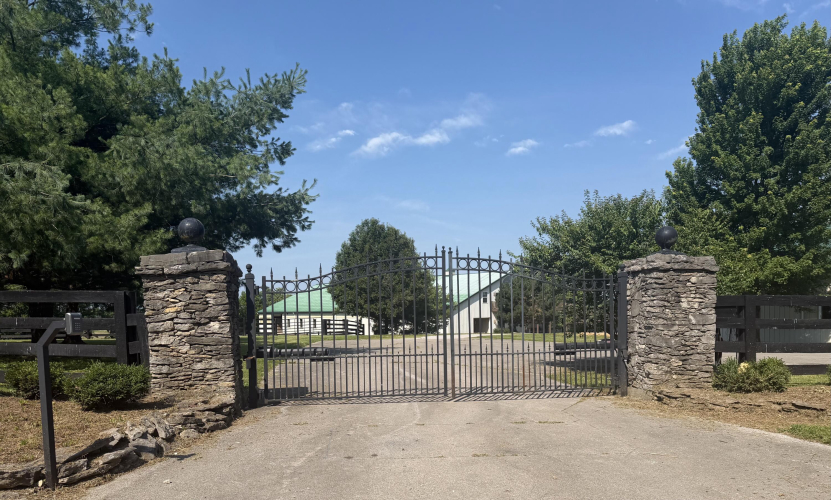Listing Image 48